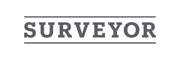 surveyor logo